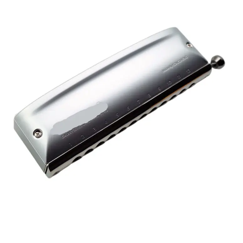 Sound Lyra Chromatic Scale Harmonica 12 Holes Playing Musical Instrument Piano