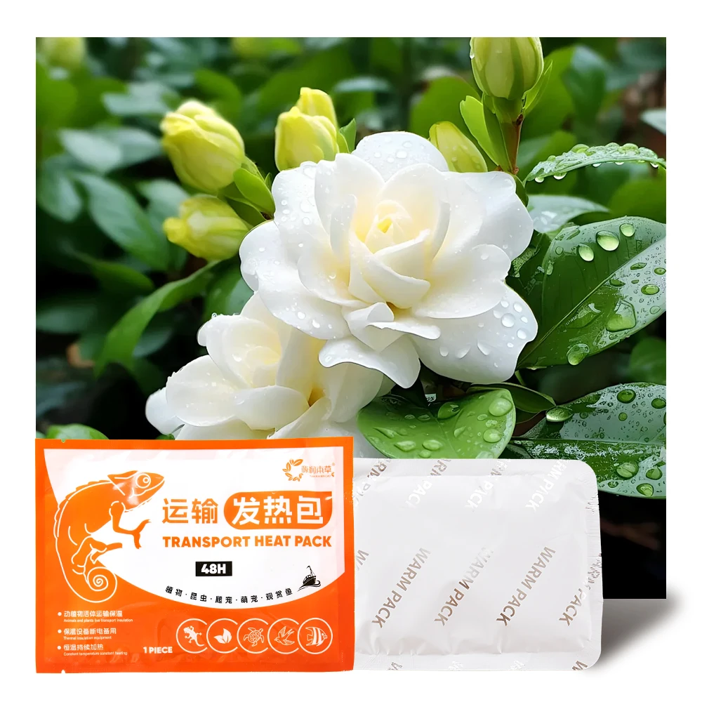 110 hours Long time Keep warming fish shipment 48 Hour Warmth for Shipping Live Corals Small Pets air-activated heat packs