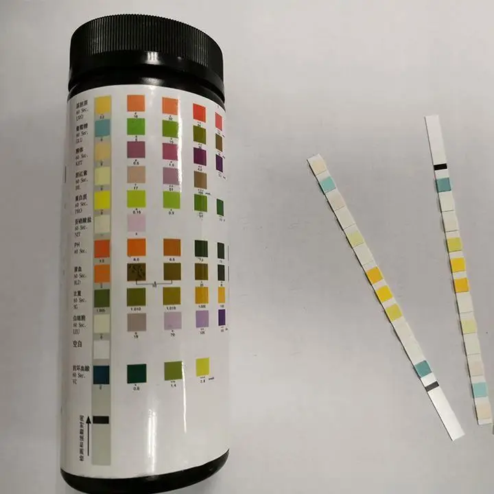 Portable Handheld Bilirubin acetoacetic Glucose test ketone dipstick urine strip results meaning