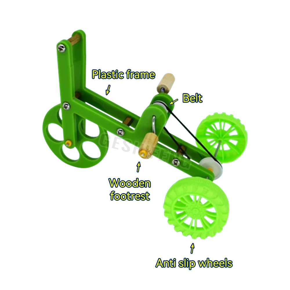 Bird Accessories Green Parrot Training Bike Bird Bicycle Toy For Indoor