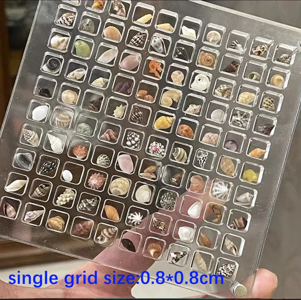 32&64&100 Grids Magnetic Seashell Display Storage Box Diamond Gemstone Beads Organizer Acrylic Transparent Jewelry Collector