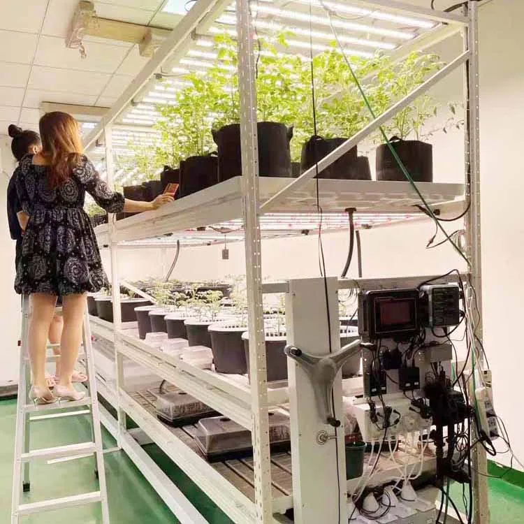 vertical farming container pipp vertical mushroom cultivation growing racks