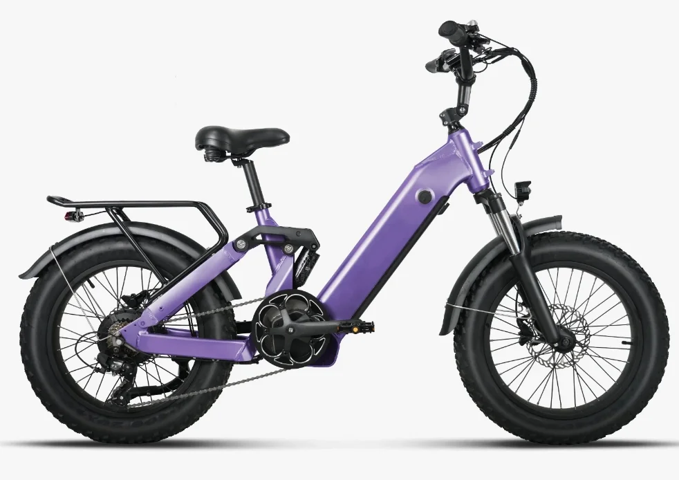 Electric Mountain Bike 500W/750W/1000w 20inch Fat Tire E-bike Electric Bicycle Adult Electric Road Hybrid Bike