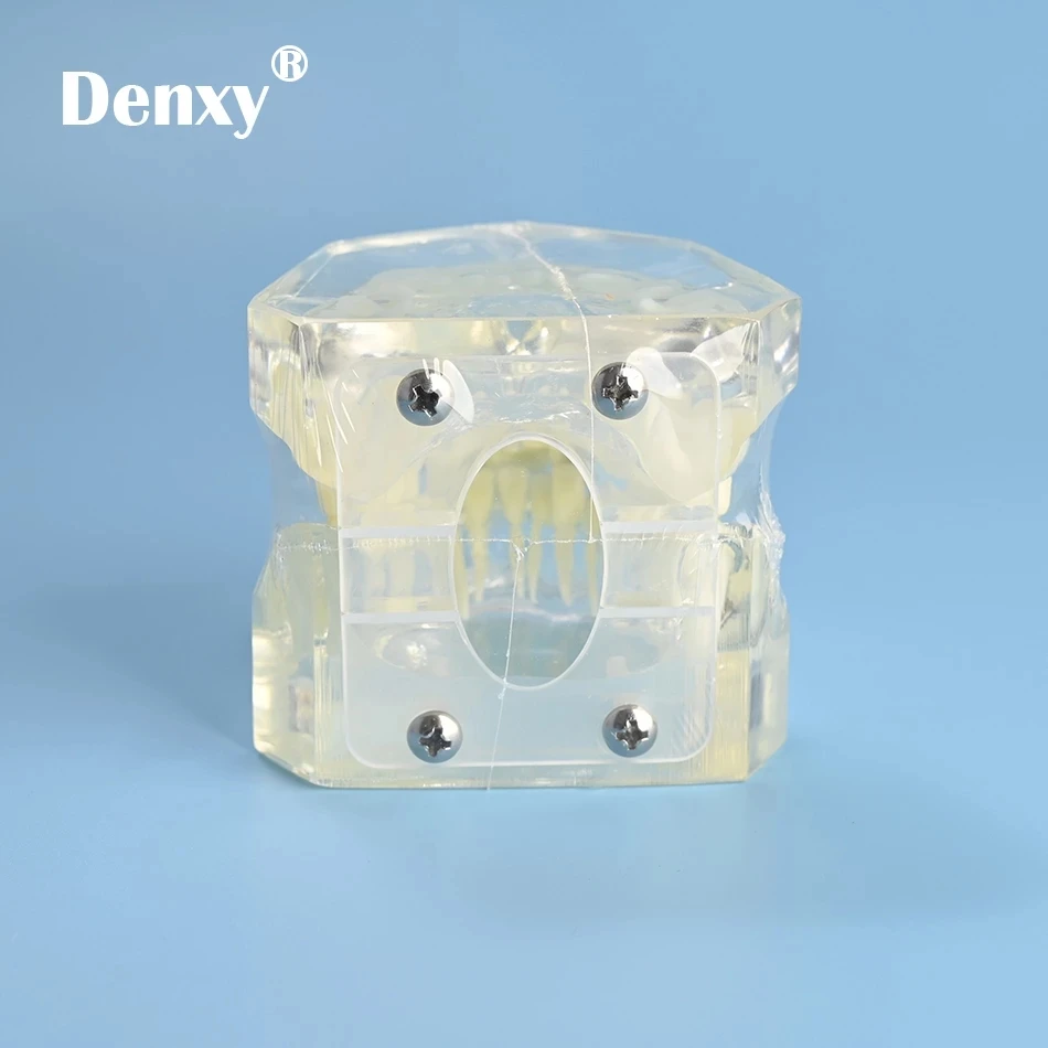 Стоматологическая съемная прозрачная Первичная модель Denxy литый ортодонтический прозрачный металлический кронштейн для связки зубов
