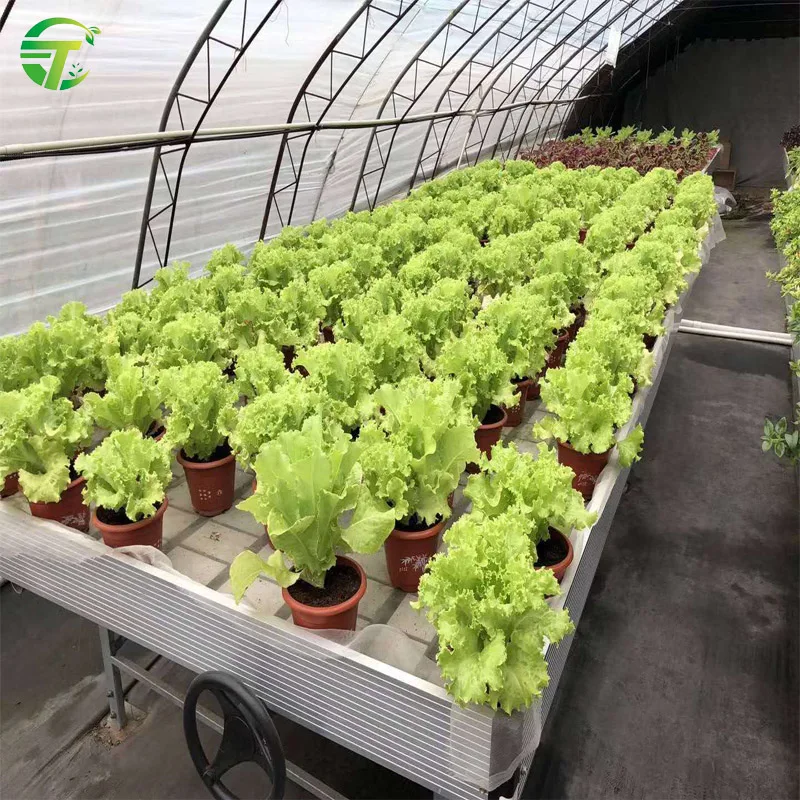 greenhouse 4x8 flood rolling bench ebb and flow table with hydroponic growing tray