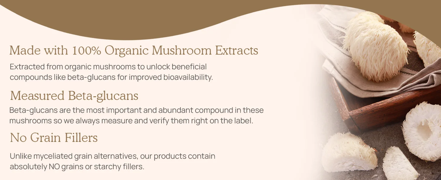 Lion s Mane Capsules - Organic Lions Mane Mushroom Extract for Cognitive Function  Immune Support