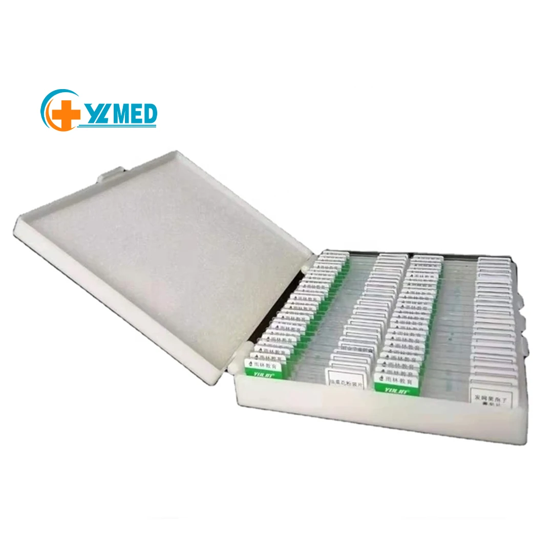 Lab 100 Pcs Microscope Slides Prepared for Kids Students Biology Specimen Lab Sample with Insects Plants Learning Home School