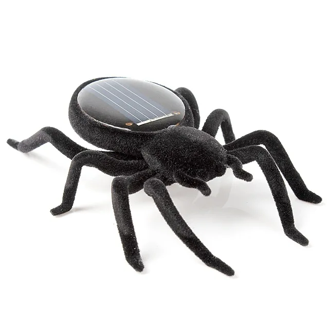 Science education experiment solar spider cockroach grasshopper car