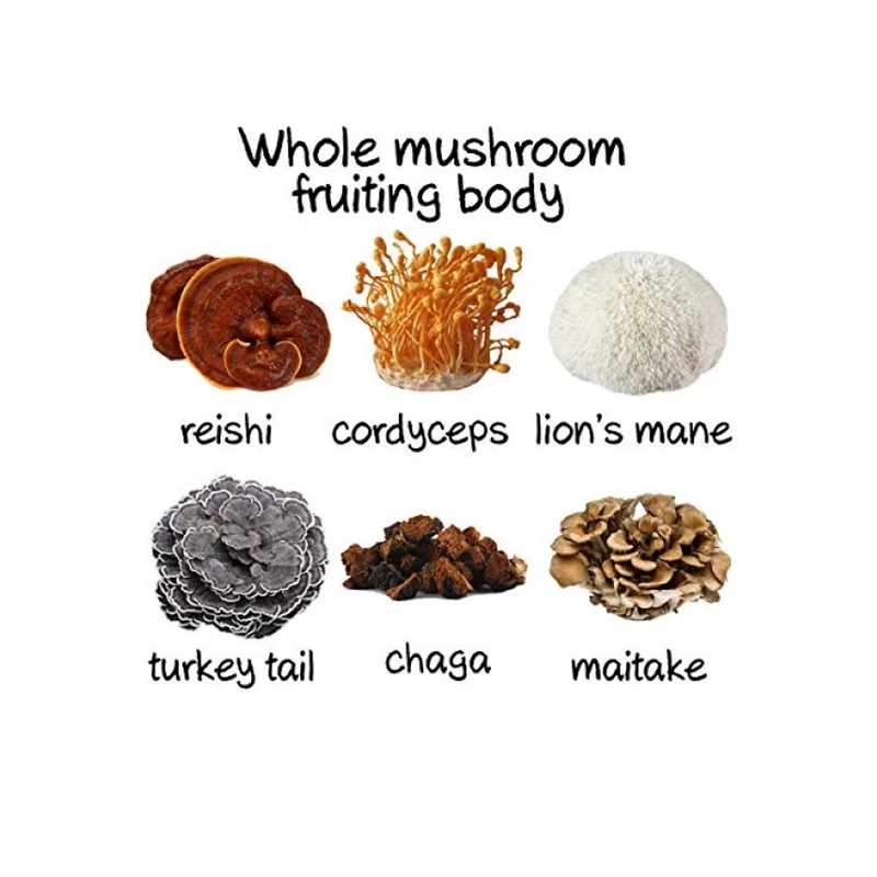 6 in 1 Powerful Mushroom Extract Powder 30% Beta Glucan  - Lions Mane, Reishi, Cordyceps, Chaga, Turkey Tail, Maitake