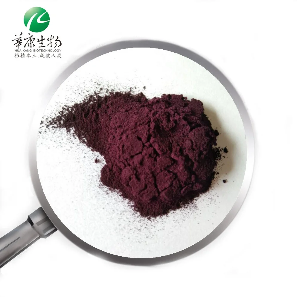 High quantity maqui berry powder/Maquiberry Extract