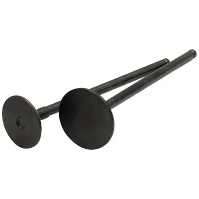 Durable Using Motorcycle Factories Spare Auto Parts Diesel Engine Car Part Intake and Exhaust Valves