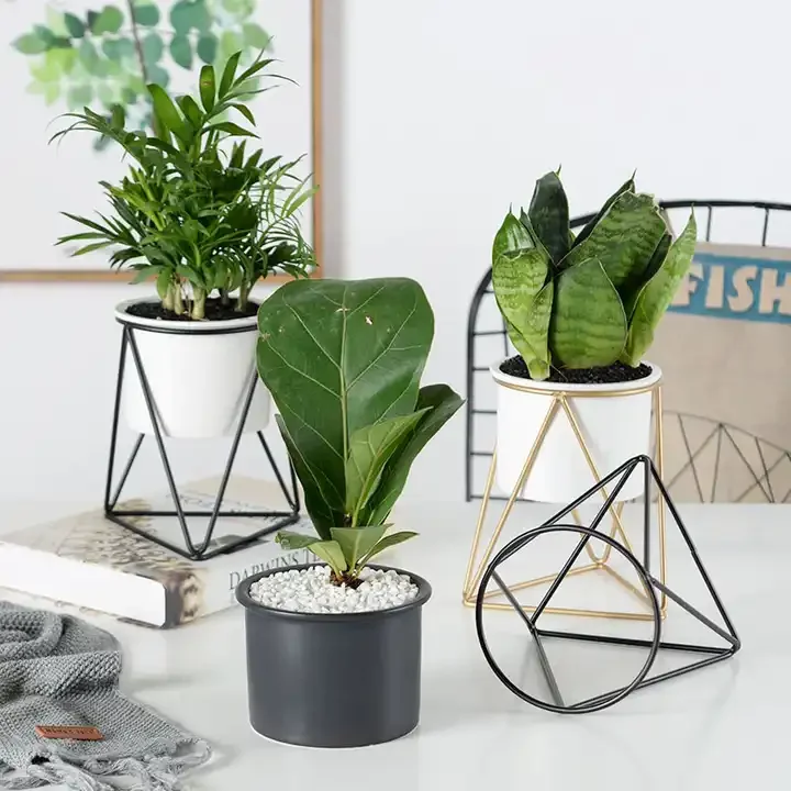 Ins Nordic Triangle Minimalist Succulent Iron Frame Round Ceramic Green Planter Geometric Flower Stand