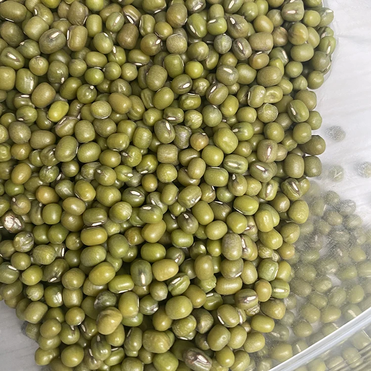 Wholesale Small Green Gram Beans Mung Beans Export Mung Beans Myanmar