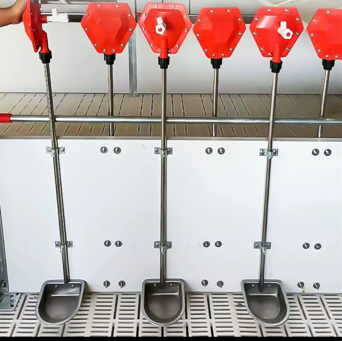 Factory Directly Sale Large Size 304 Stainless Steel Automatic Pig Farm Drinker For Pig Piglet Drinking Water Bowl