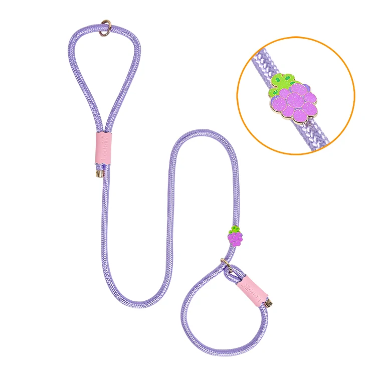 Loudik Wholesale Manufacturer Personalized Stock Western Style Quality Nylon Rope Pet Collar Leads Accessories Luxury Dog Leash