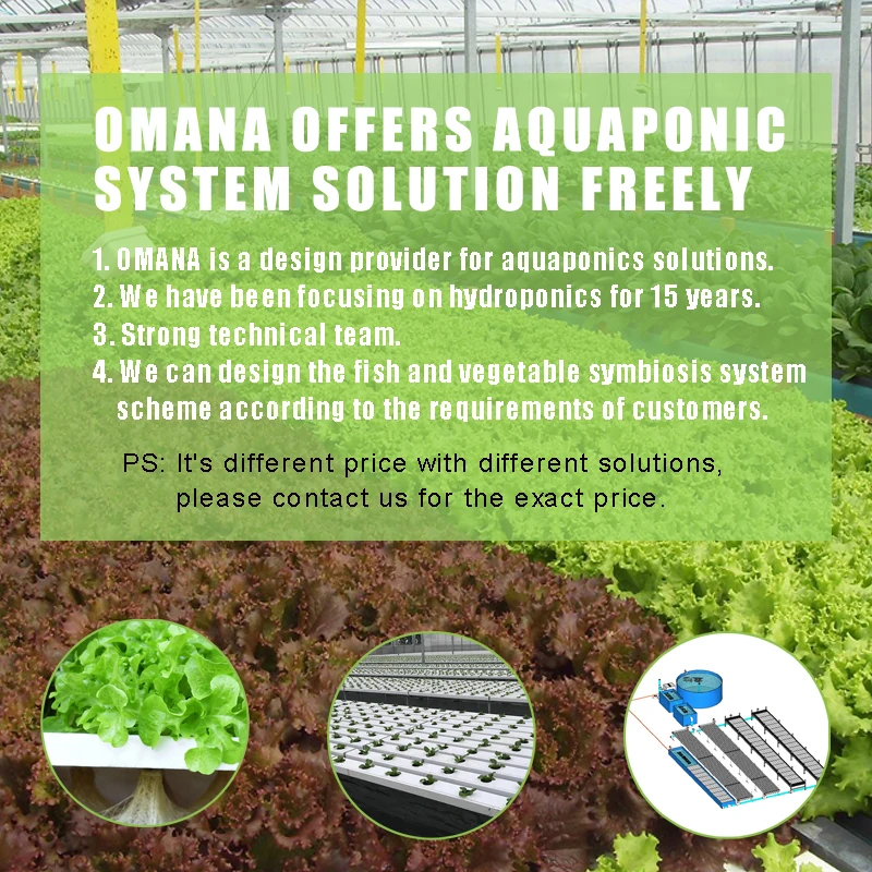 OMANA Aquaponic growing systems aquaponics system farm Aquaponics System For Fish And Vegetable