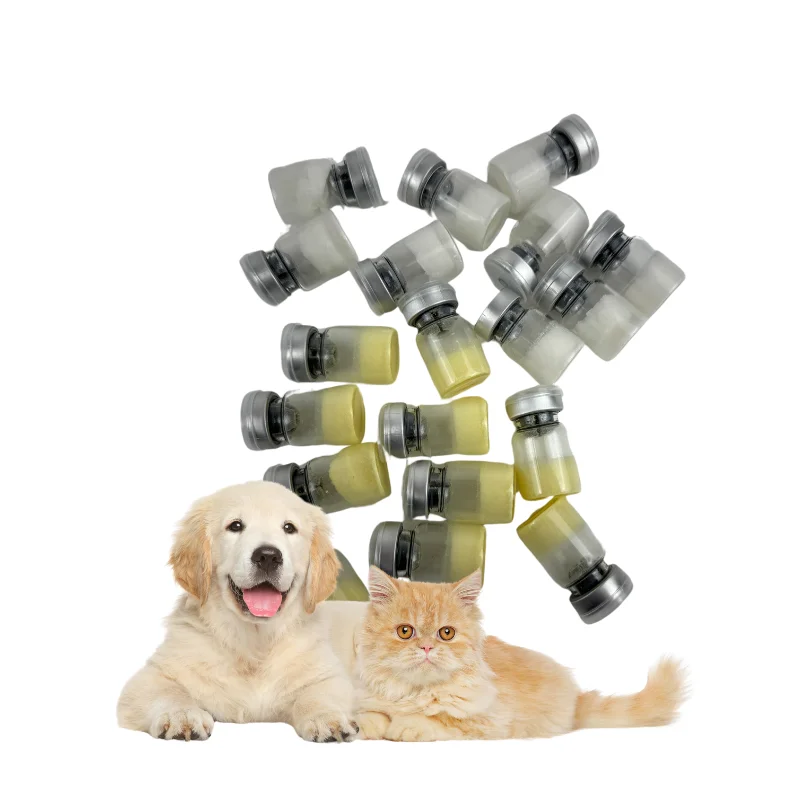 Private label Pet health products Lyophilized peptides with poor immunity  for dogs and cats immunity enhancement