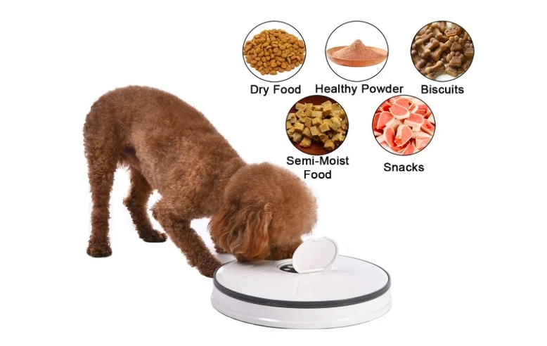 Smart Pet Feeder 6meals Timed Program Food Dispenser with Calling Music