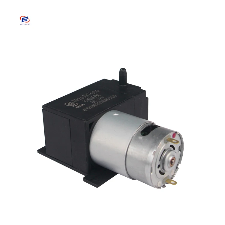 Fast Shipping Beauty Equipment DC High Pressure Mini Air Pump