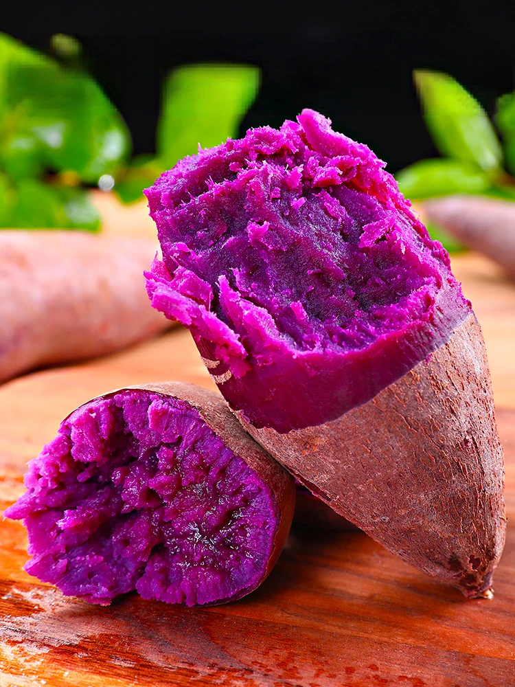 На фермах, установлено высокое качество для экспорта Китай свежий сладкий картофель естественно сладкий