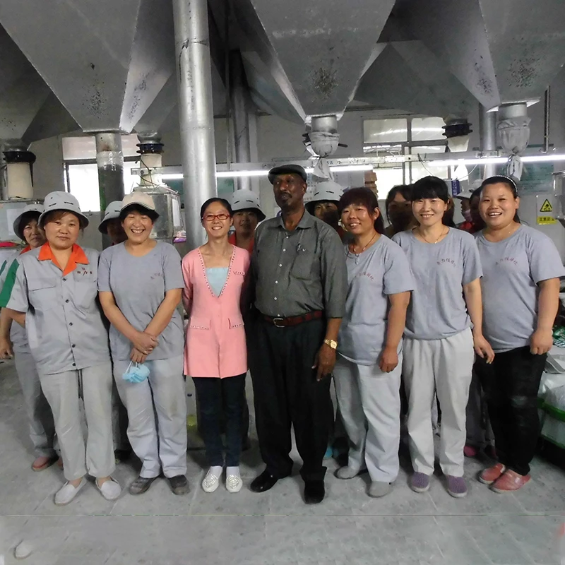 Cleaning Customize Powders High Efficiency OEM brand Household laundry washing powder