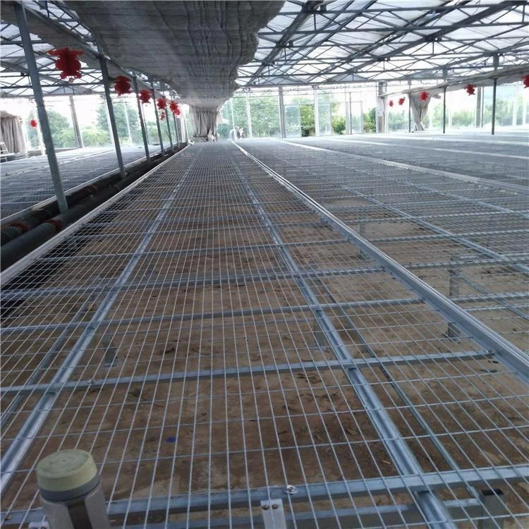 Factory Price Waterbed seedbed Nursery Bed Galvanized Welded Wire Mesh Steel Seedbed/seed plot Movable Rolling Bench