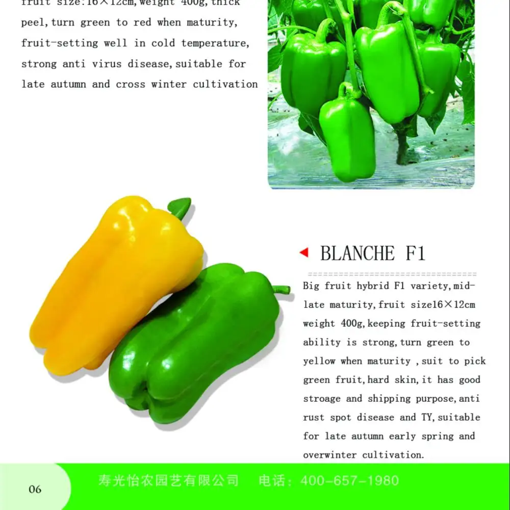 
Long sweet pepper seeds Blanche F1 for sale 
