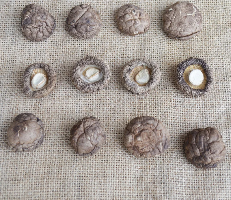 DETAN wholesale dry shiitake mushroom