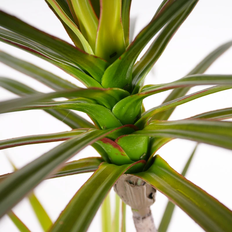 China factory 145cm/4.75ft/57in Artificial Plastic Dracaena Marginata Tree Elegant Plant tree Design for Indoor Outdoor Decor