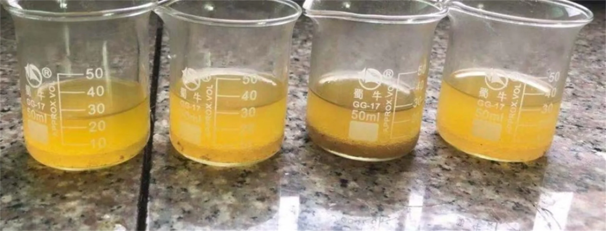 The most popular canned sardines have high nutritional value