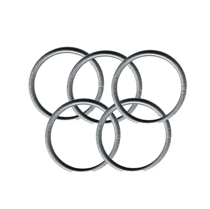 Custom 304 stainless steel canted coil round type O type circle oil seal garter spring