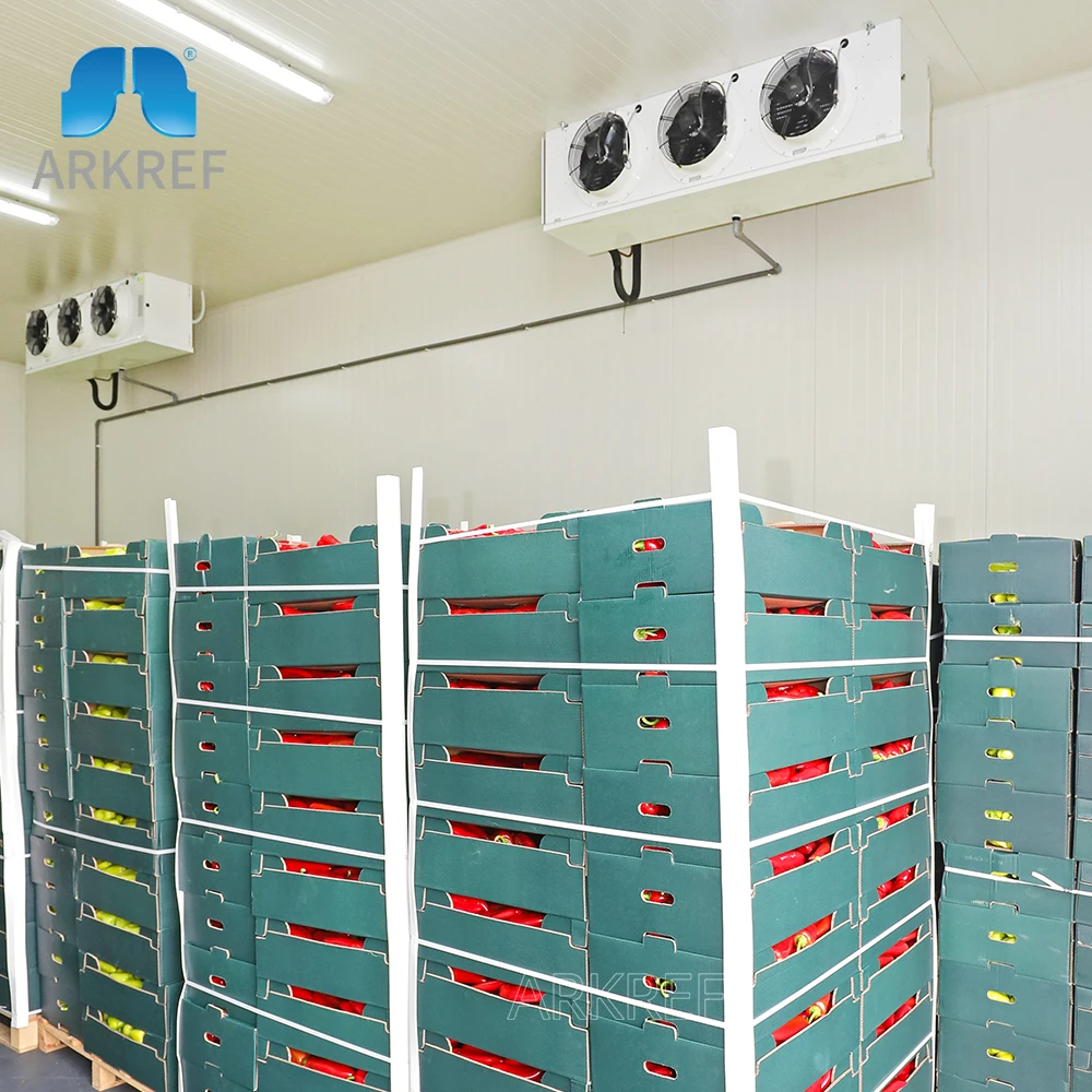 Customized Cold Storage Room For Fruits And Vegetables Onion Potato Prefabricated Chiller Cold Room