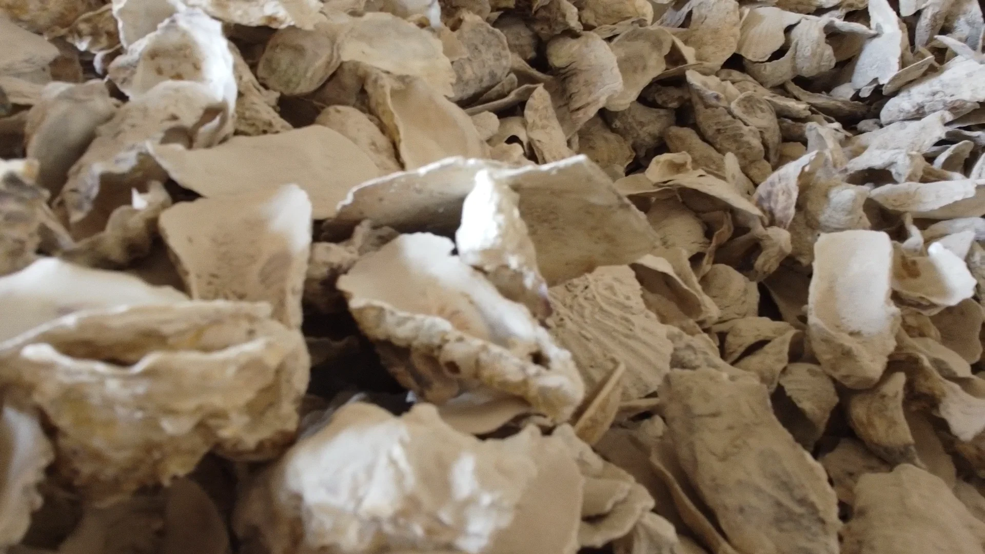 Japanese Soluble Organic Calcium Silicate Slow Release Fertilizer