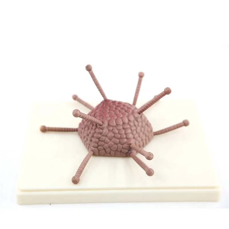 Аденовируса модель для демонстрации подробные капсидного структура