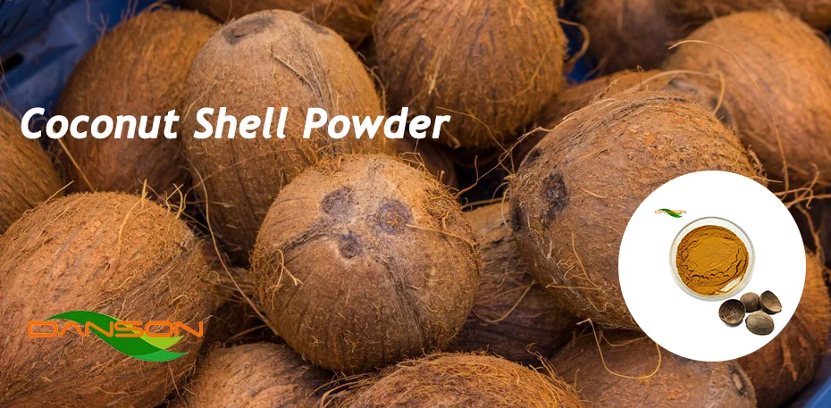 Coconut shell powder 1.jpg