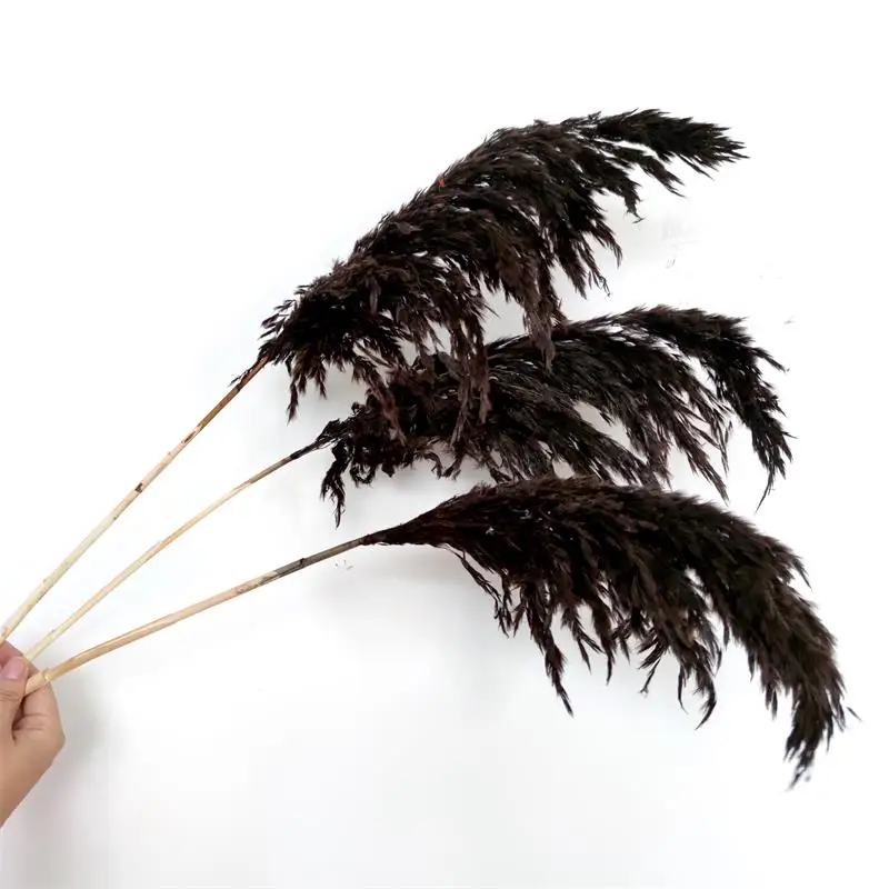 Cheapest decor flower natural pampas grass & dried reed straw grass for home decoration