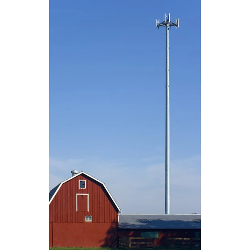 Communication Antenna 30m Self Supporting Mast Wifi Tower Telecom Price Supported Steel Cell 40m 30 Meter Monopole Tower