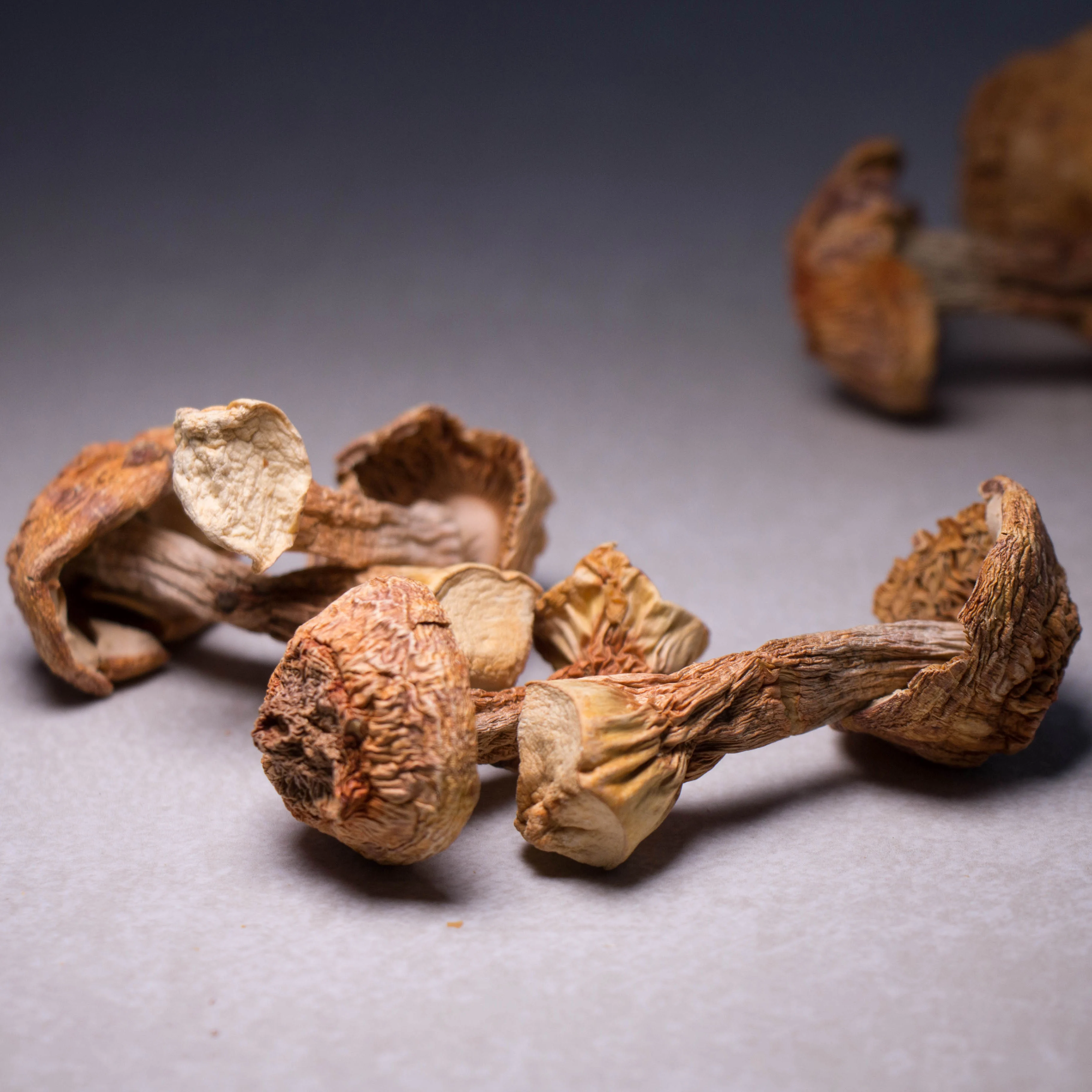  Сухие товары Agaricus blazei 500 г фирменные натуральные грибы Юньнань/грибы