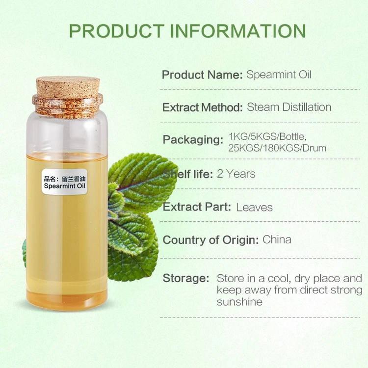 factory bulk wholesale 100% Pure natural food flavor chewing gum organic Spearmint oil with low price