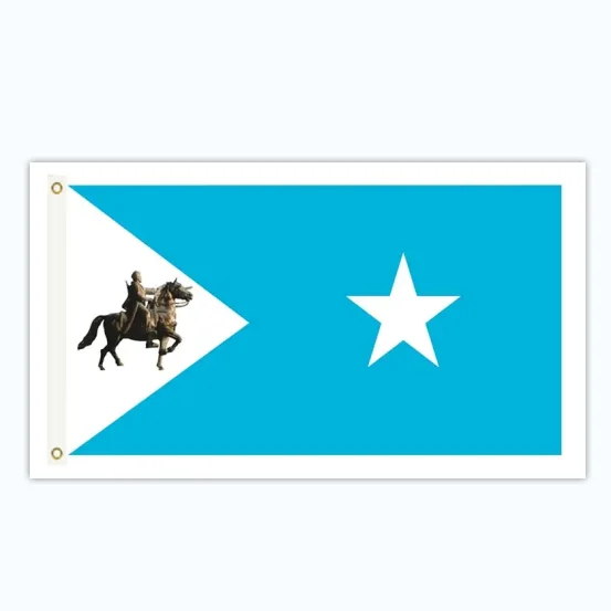 High quality khaatumo state polyester 3x5ft Somali flag