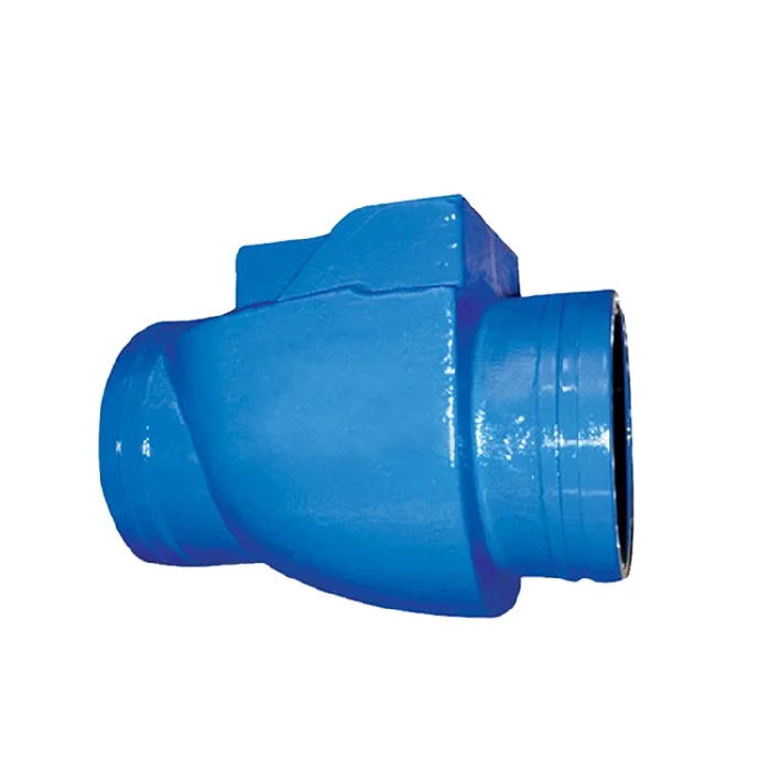 Agricultural Irrigation Water Pressure Reducing 5904 Grooved Ends Swing Check Valve