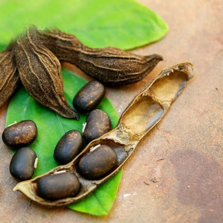 Herb 100% natural l-dopa mucuna pruriens extract 99%
