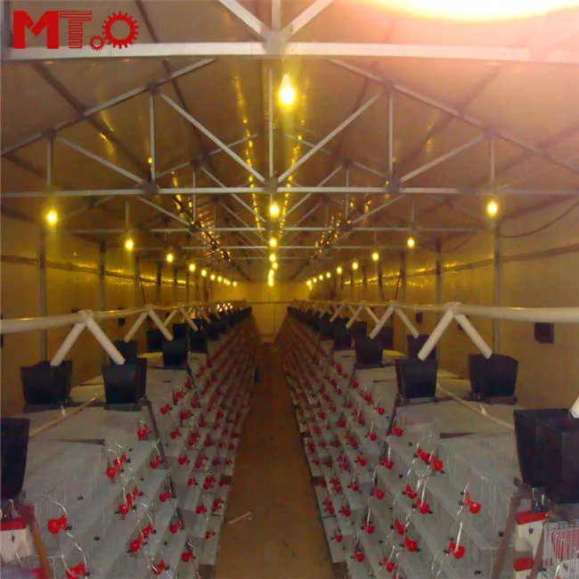 Hot sell automatic egg collecting quail cage for quail farmers around the world