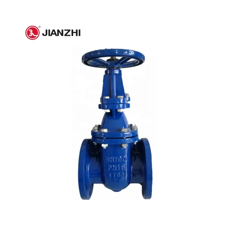 Flange Structure Manual Soft Seal Rising Stem Gate Valve  2in wcb