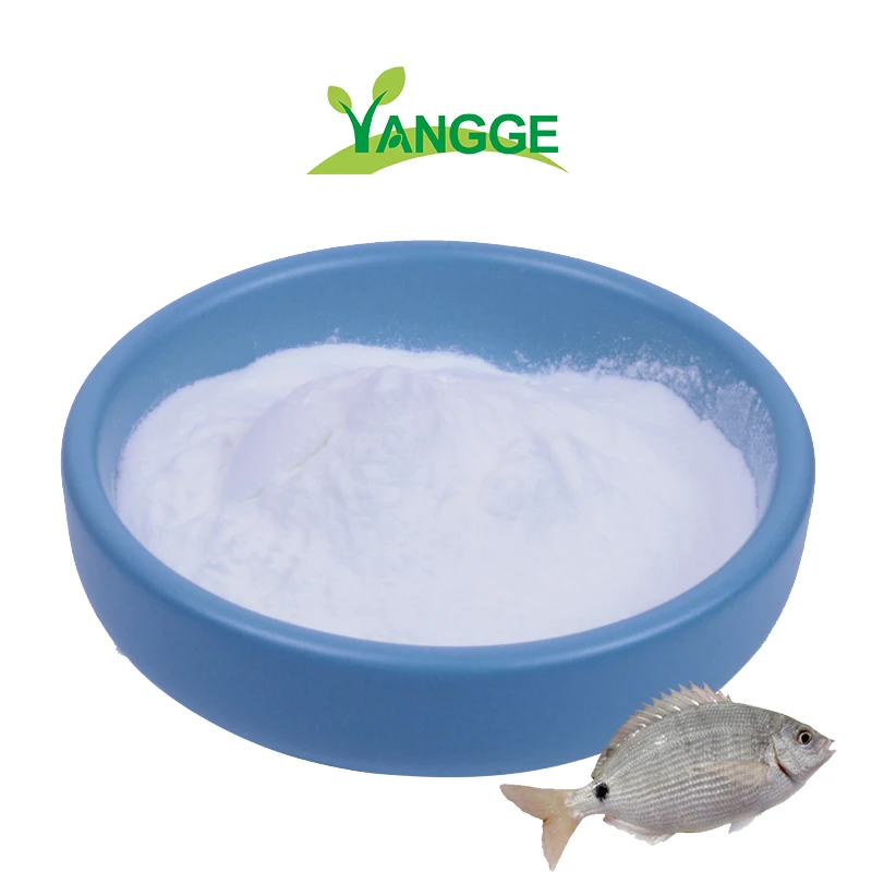 
Fish collagen protein collagen fish powder edible powder 