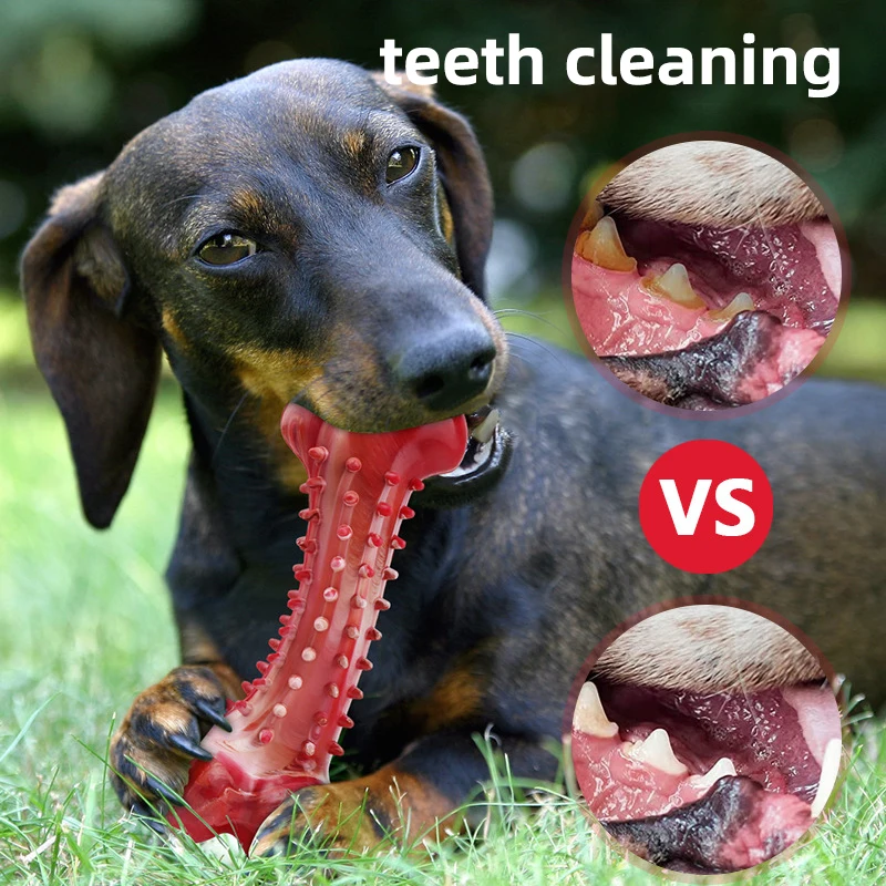 Top Seller Ultra Durable Pet Tooth Cleaning Interactive Bone Toys Rubber Dog Chew Toy For Aggressive Chewers