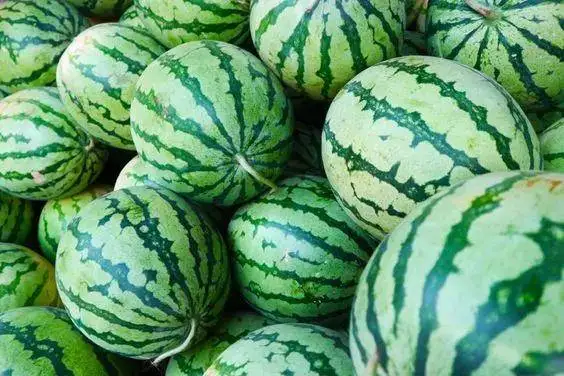 Экологичное биоорганическое удобрение Duolaisa контроль почвы затвердевание микробное