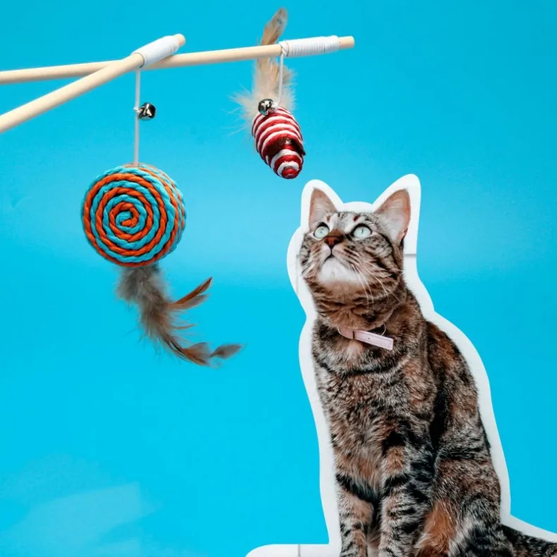 Cheap Cute Cat Interactive Teaser Toy With Bell Funny Cat Toys Interactive Teaser