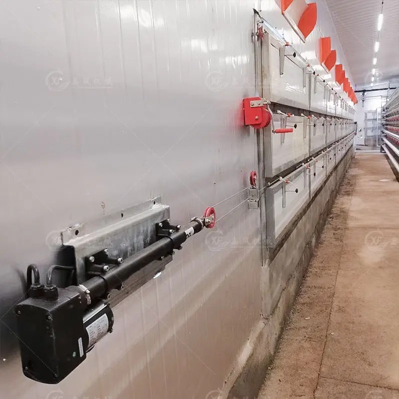 Poultry Farm Equipment 3 Tiers 8 Tiers Full Automatic Chicken Layer Battery Cage for Egg Laying Hens