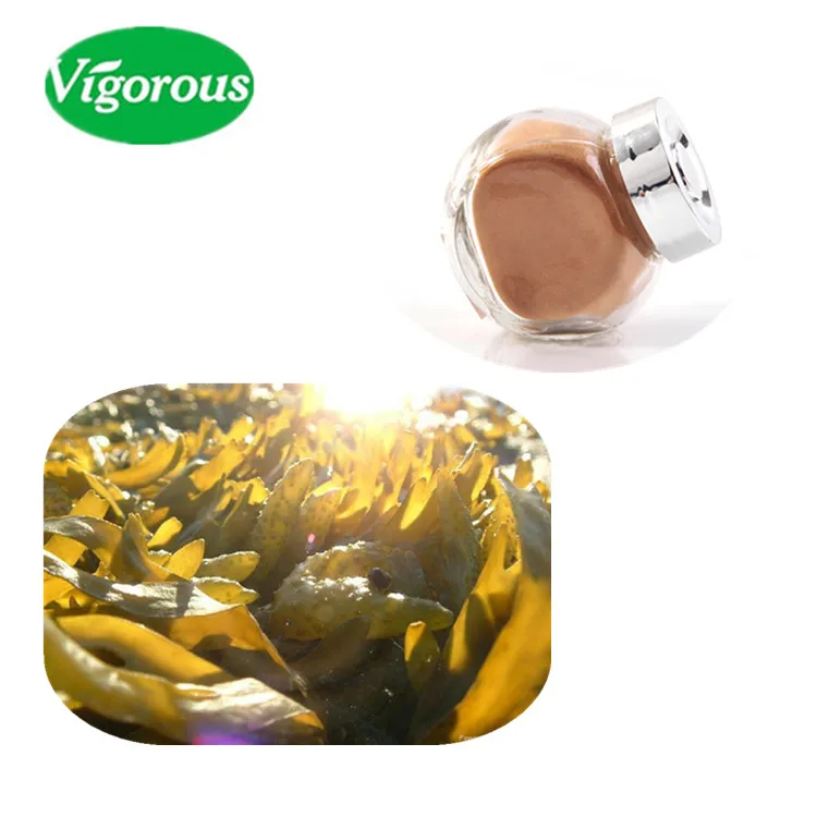 Чистый натуральный травяной экстракт fucus vesyjlosus органический порошок